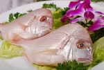 浙菜