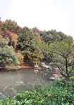河边