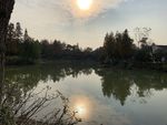 河边
