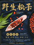 开口松子
