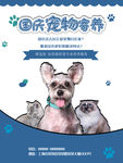 宠物海报