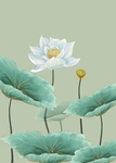装饰画