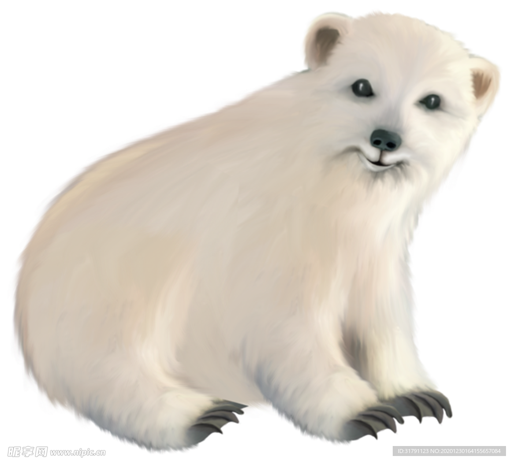 北极熊