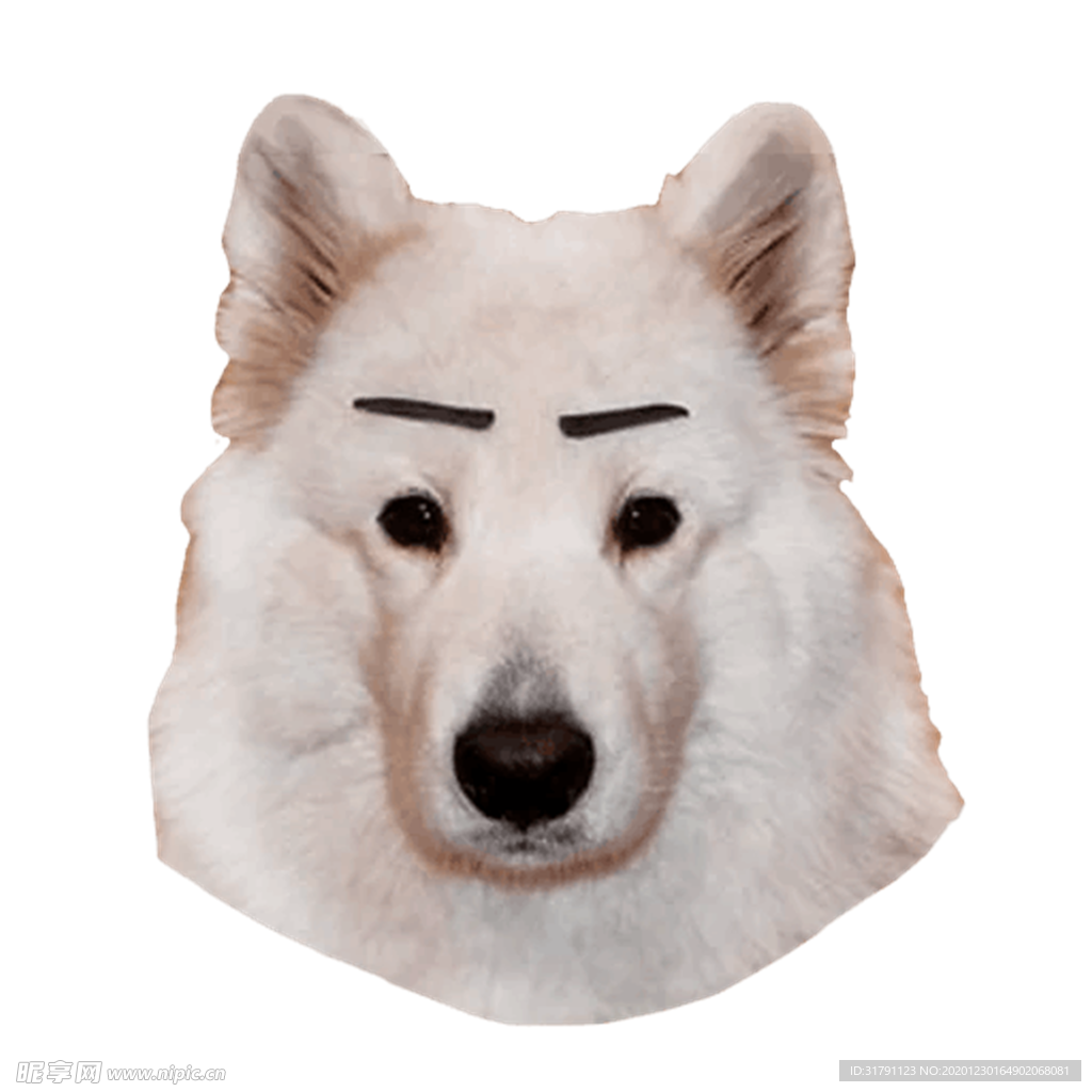 狗