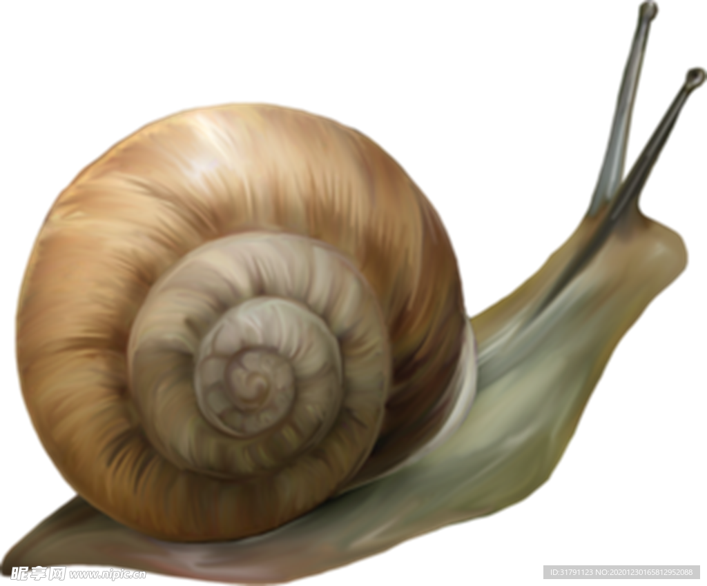 蜗牛
