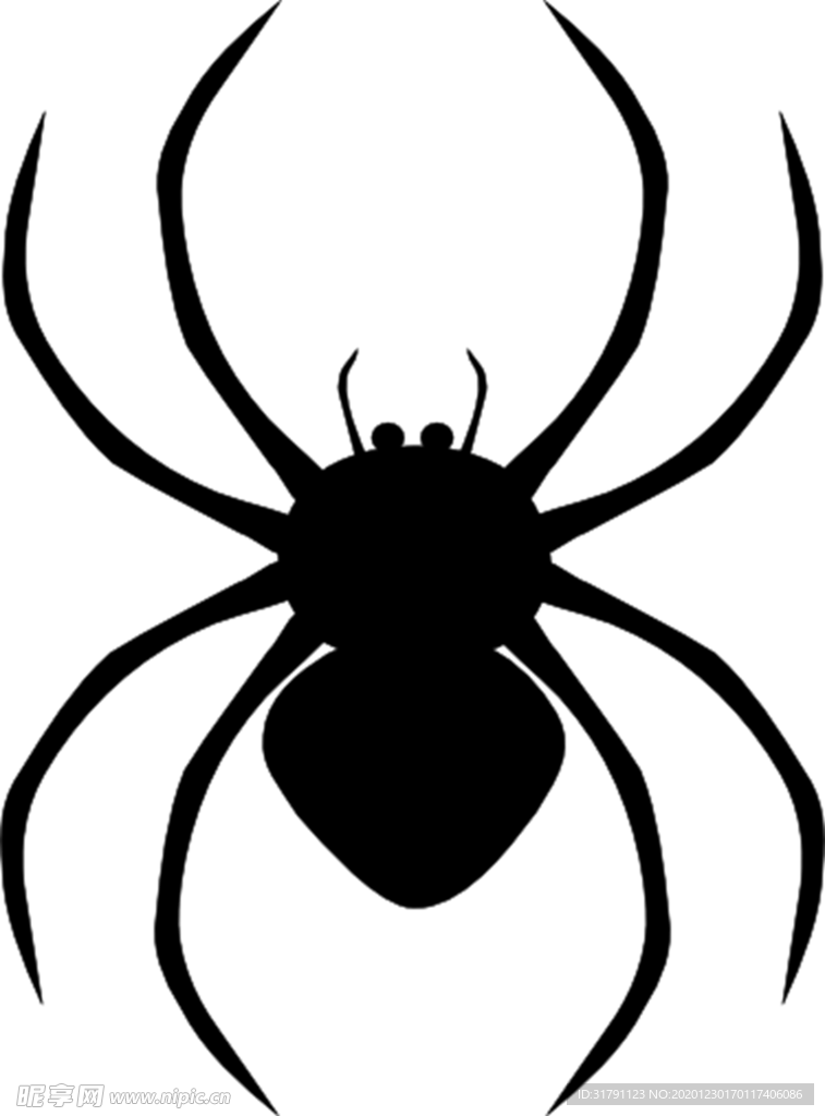 蜘蛛