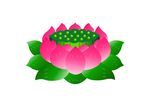 莲花 上拾贰