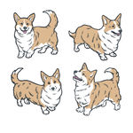 狗