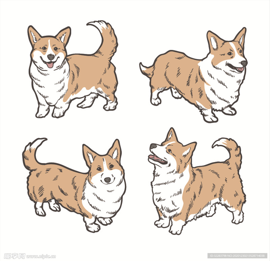 狗
