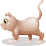 猫咪