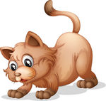 猫咪