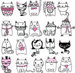 小猫