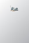 浣熊