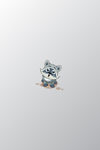 浣熊