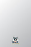 浣熊