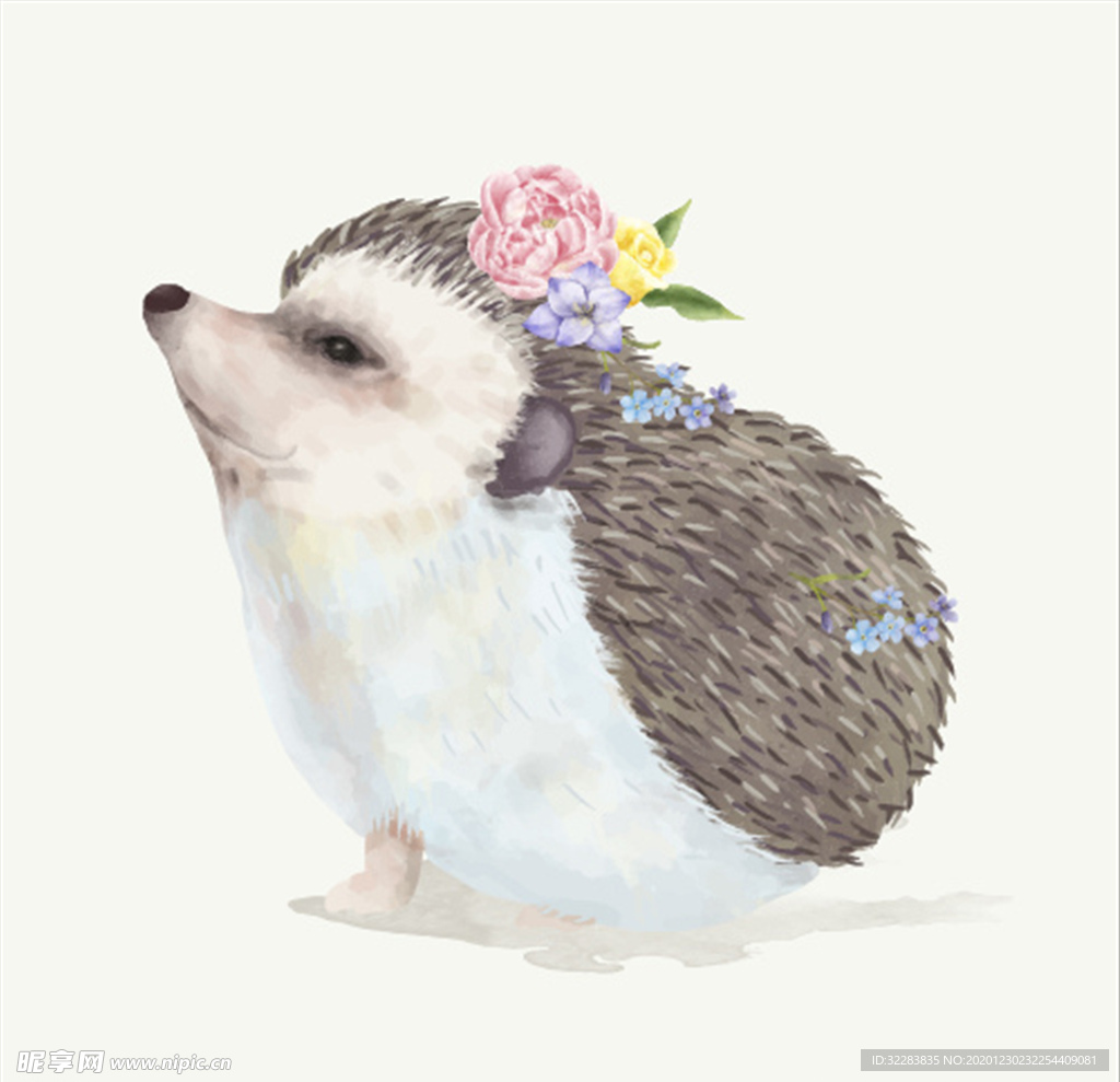 刺猬