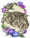 卡通猫
