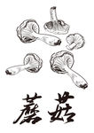 蘑菇