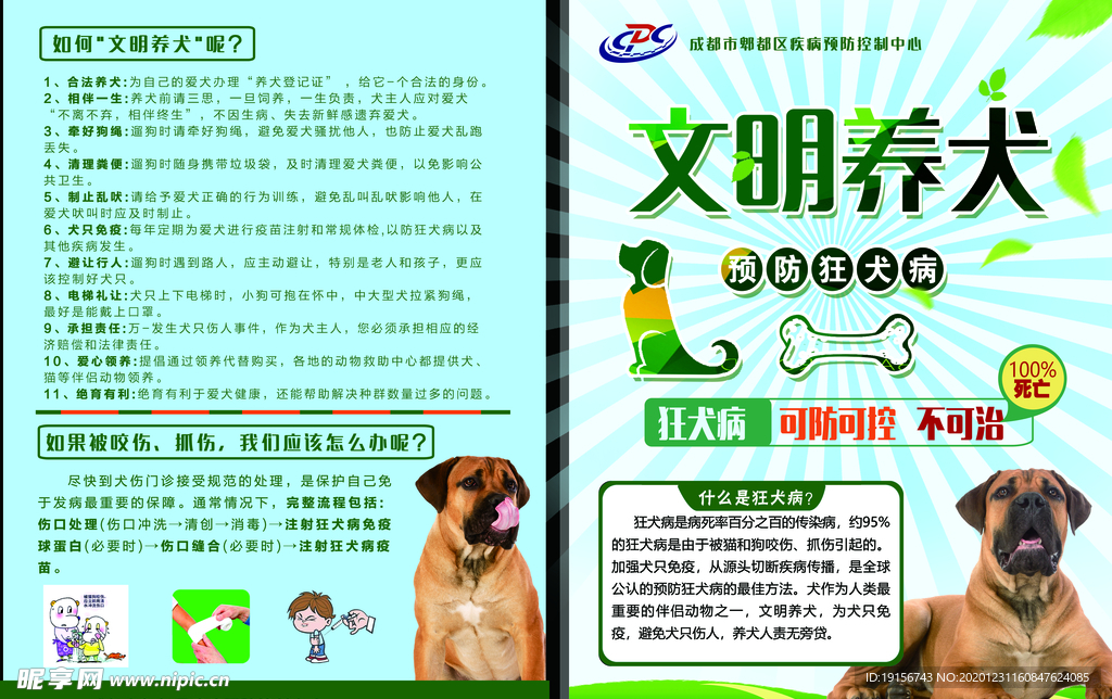 狂犬病宣传DM单页