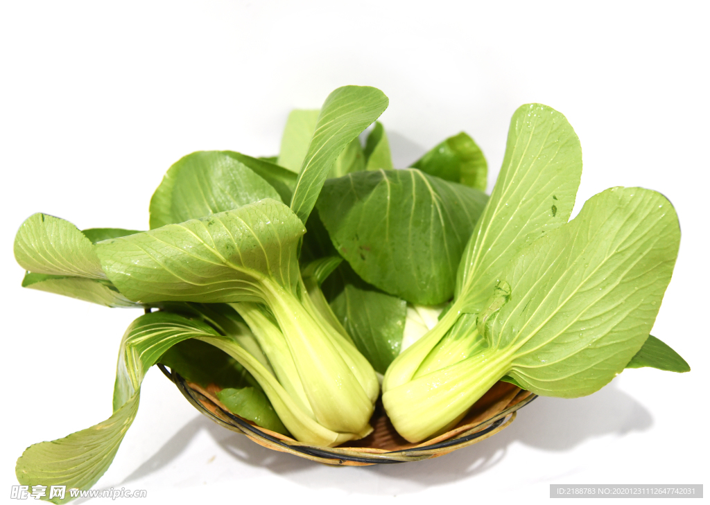 青菜