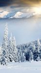 雪山