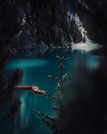 风景