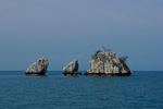 大海