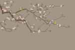 装饰画