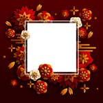 灯笼花