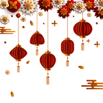 灯笼花