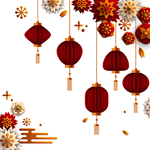 灯笼花