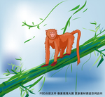 卡通猴子