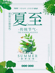 夏至图片
