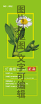 灯盏细辛灯盏花
