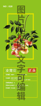 凌霄花