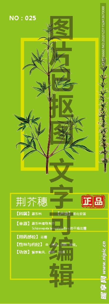 荆芥穗