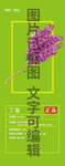 丁香