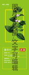 薄荷叶