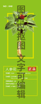 人参花
