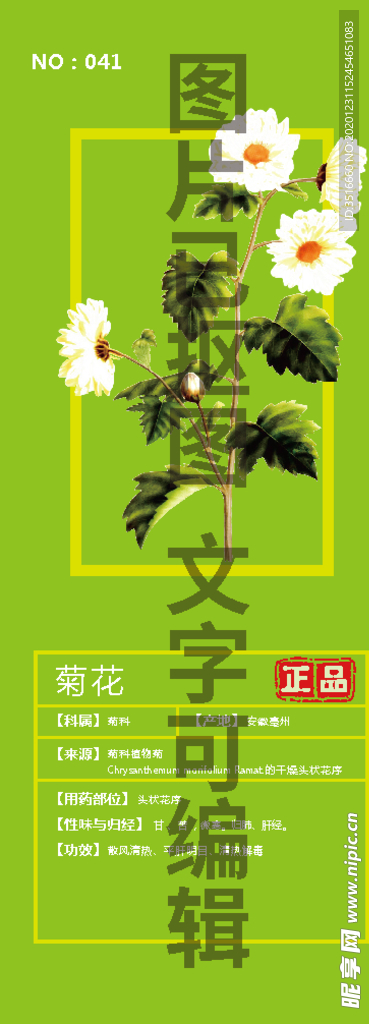 菊花