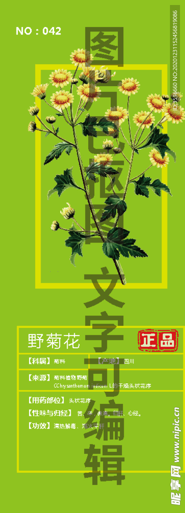 野菊花