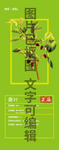 桑叶