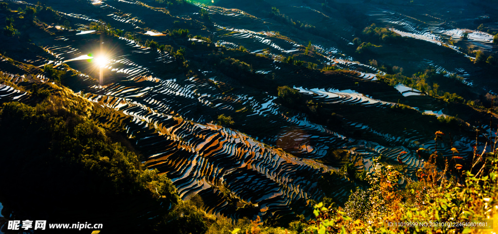 坝达梯田风光