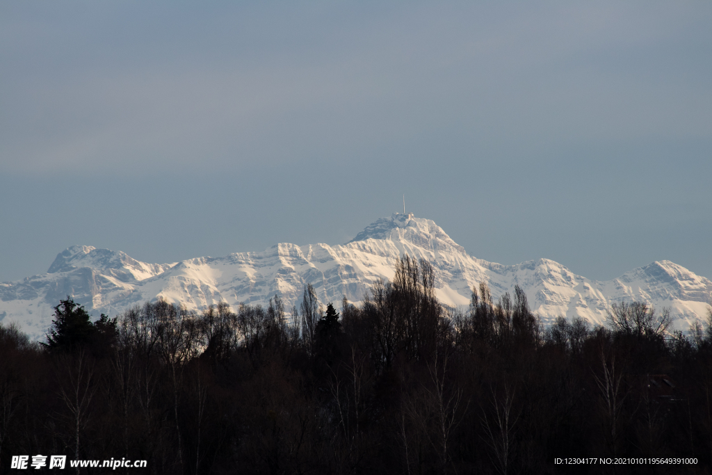 山