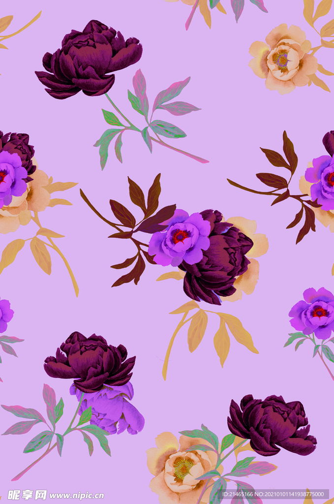 叶子花  手绘花