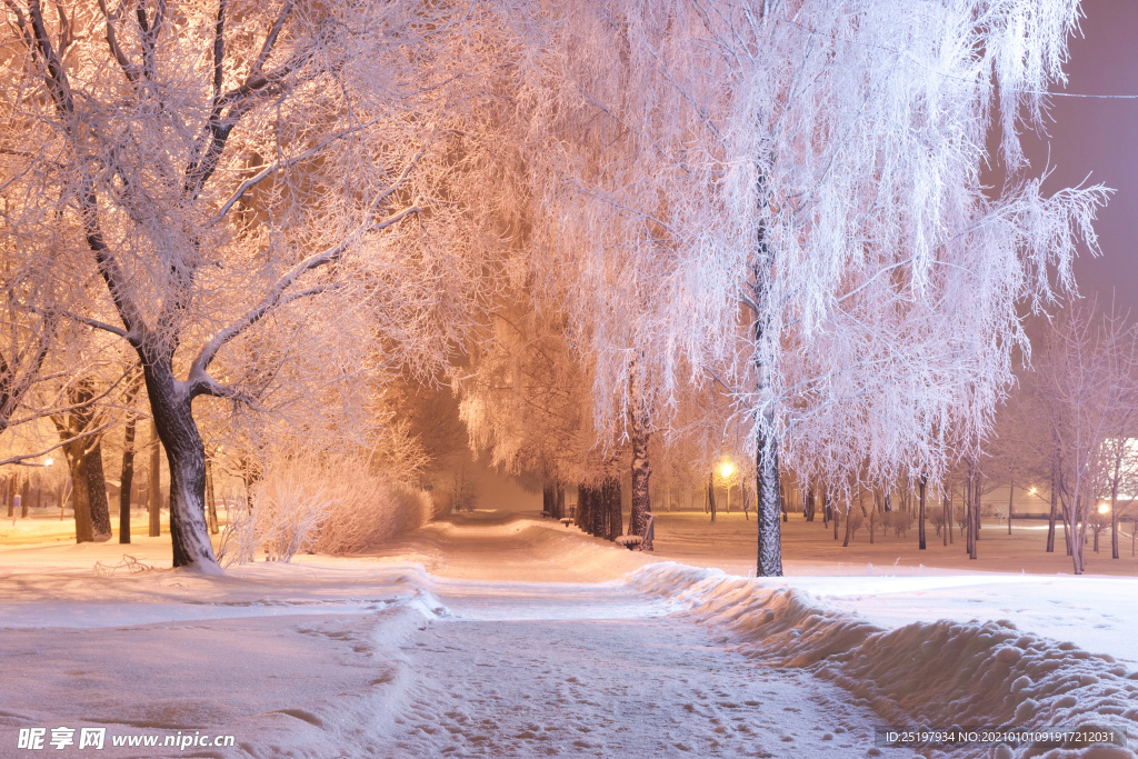 雪景