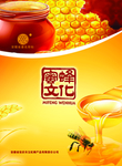 蜜蜂文化封面设计PSD  蜜蜂