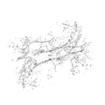 水花白色元素