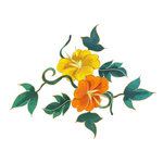 国潮花朵元素