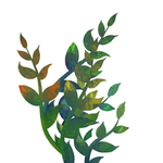 植物叶子元素
